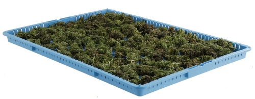 Metro DT1826-P WavDri Cannabis Drying Tray